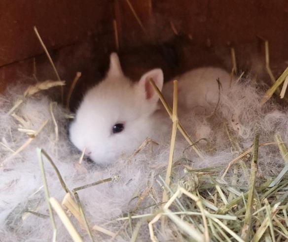 Villa Sejour A La Ferme Jouques Esterno foto