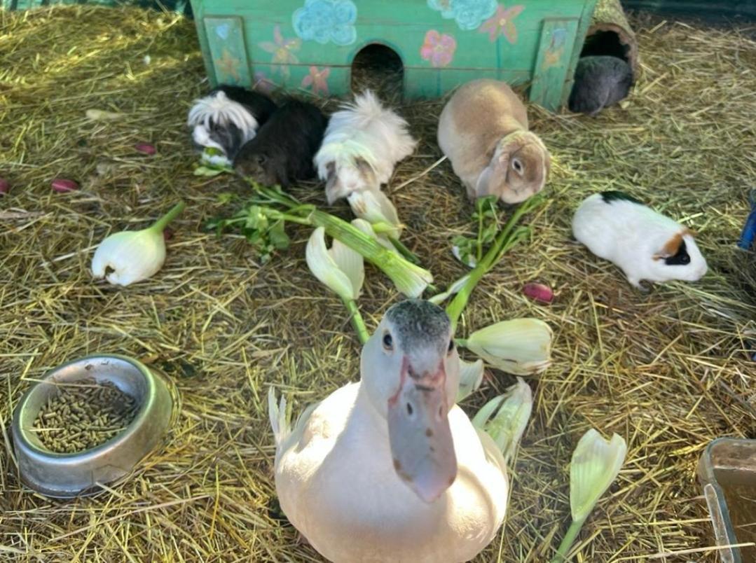 Villa Sejour A La Ferme Jouques Esterno foto