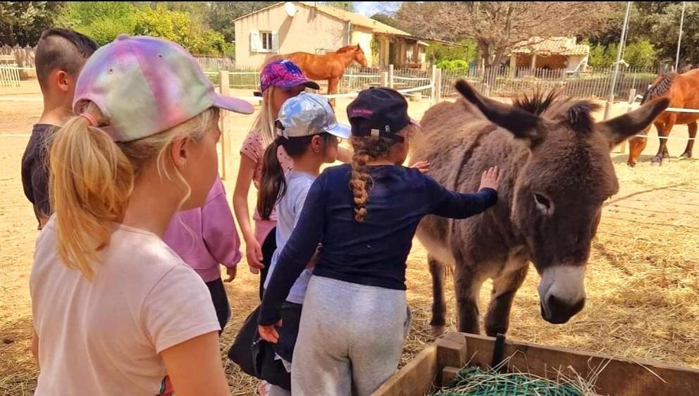 Villa Sejour A La Ferme Jouques Esterno foto