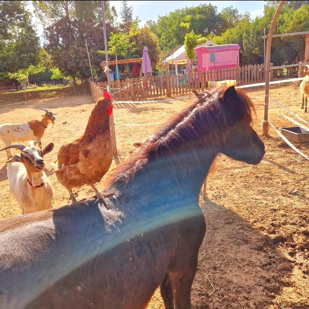 Villa Sejour A La Ferme Jouques Esterno foto